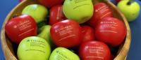 Bowl of apple stress balls.